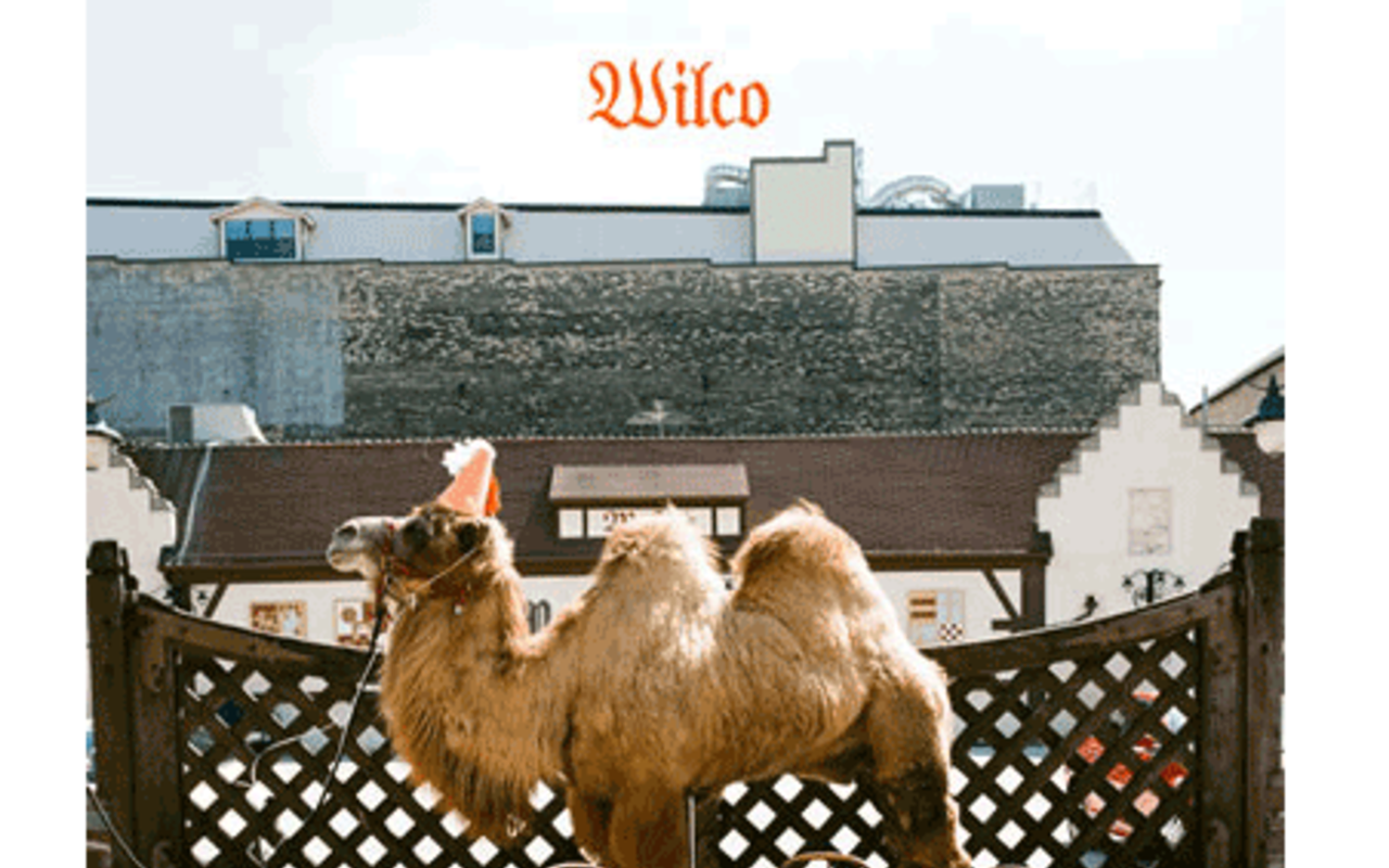 New Wilco Album Cover Revealed (Photo)