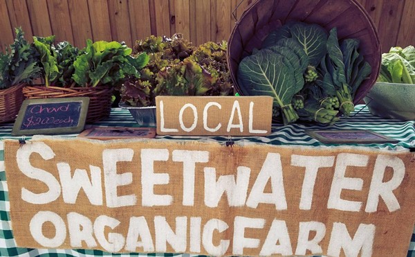 On 4/20, Tampa’s Sweetwater Organic Farm celebrates a different herb—basil