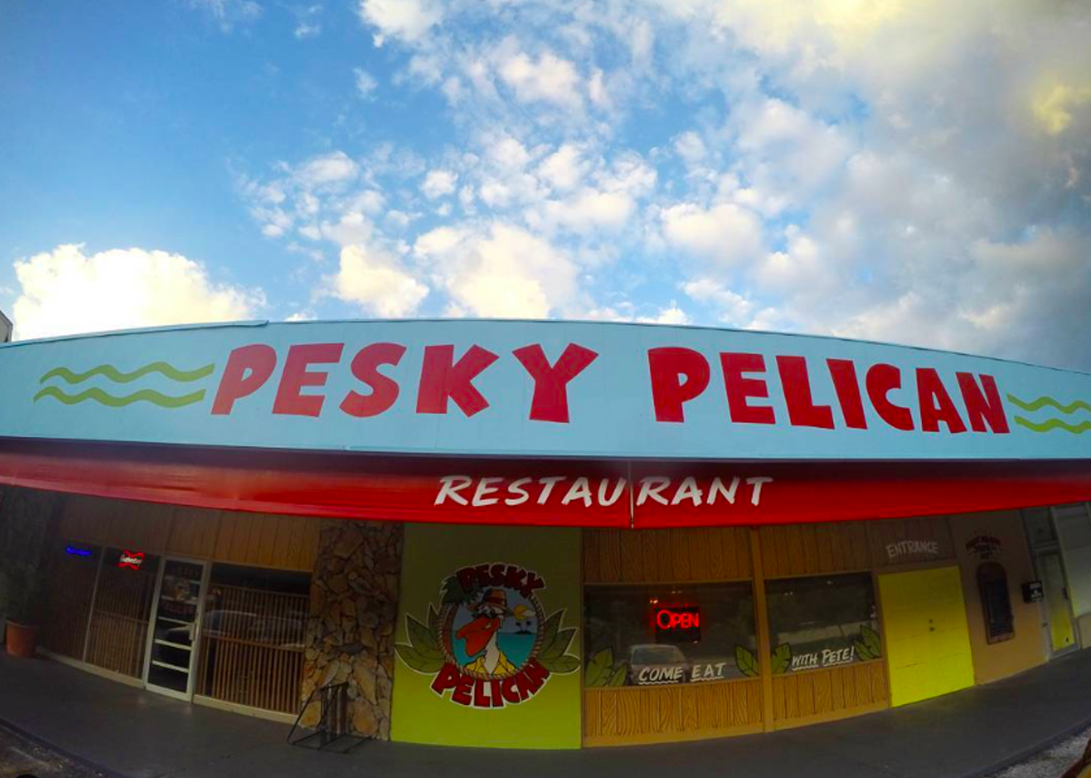 peskypelicaninstagram.png