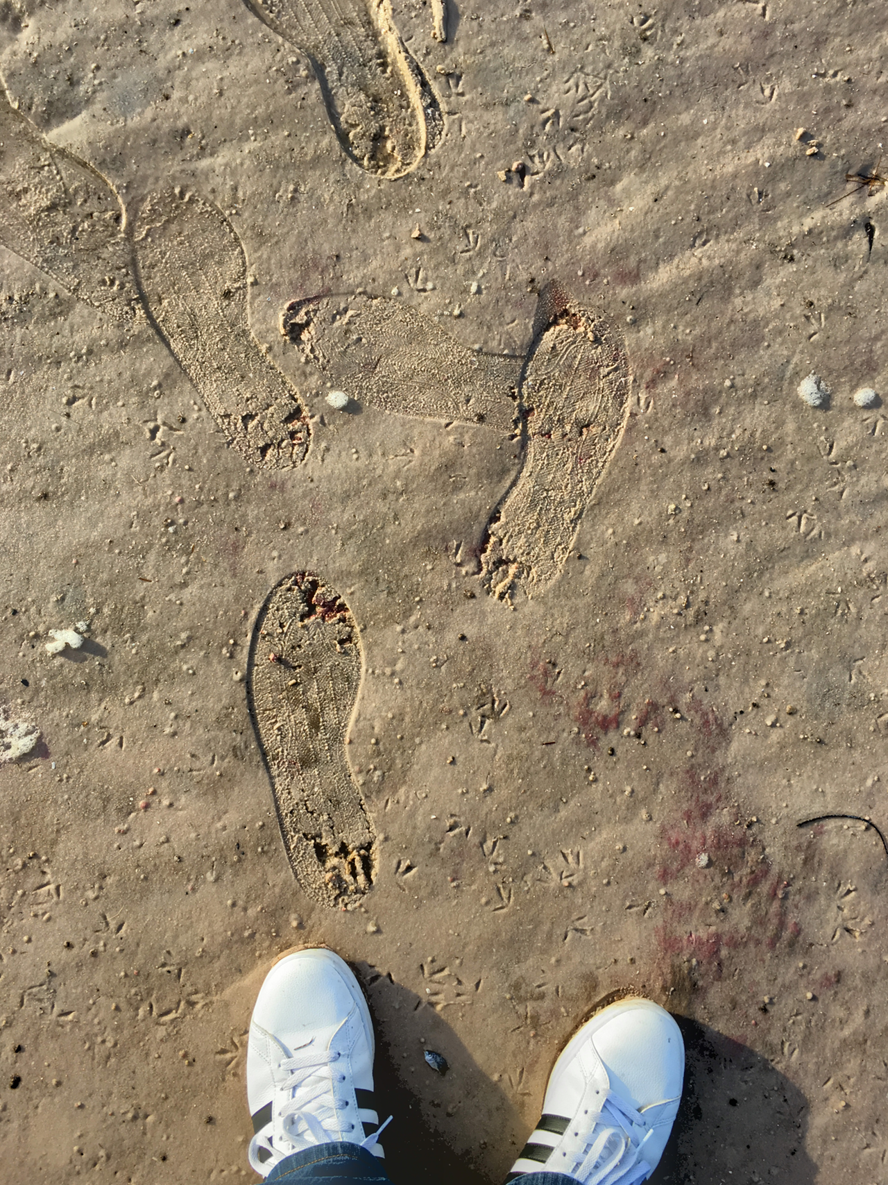 I liked the way the shadows drew attention to the footprints (app: ProCamera VividHDR)