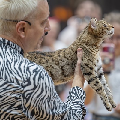 Photos: All the pretty kitties we saw at the 2023 St. Petersburg Catstravaganza