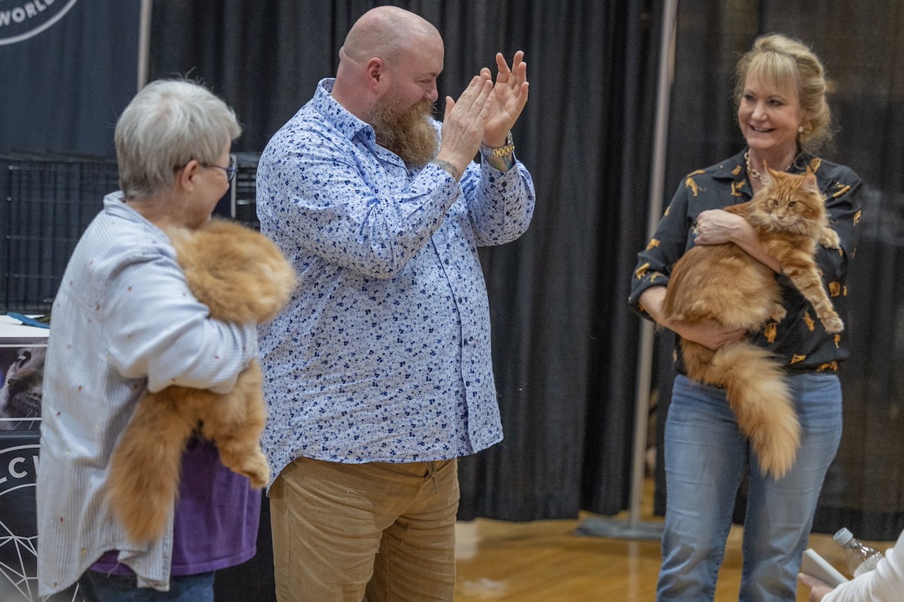 Photos: All the pretty kitties we saw at the 2023 St. Petersburg Catstravaganza