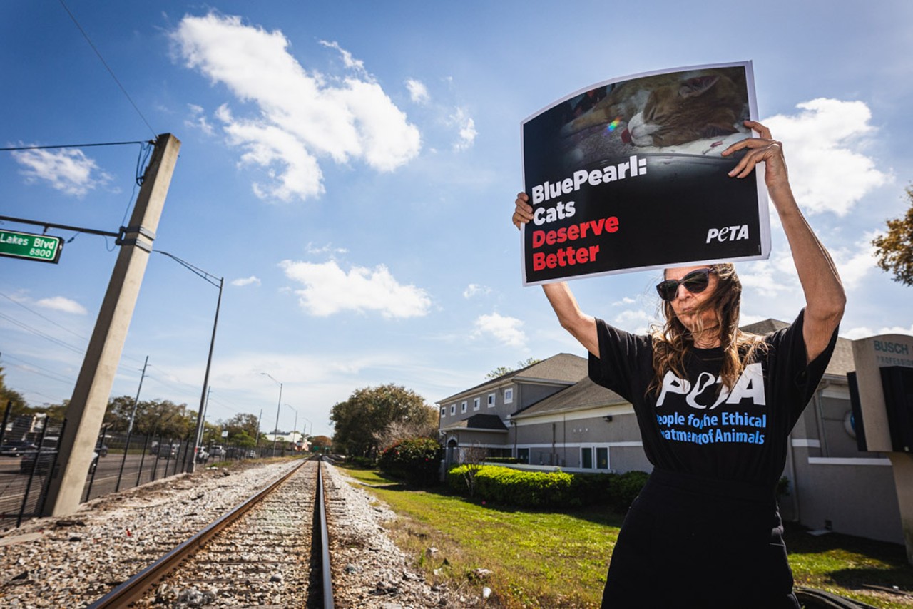Photos: Peta protests outside Tampa Blue Pearl veterinary clinic over ties to The Veterinarians’ Blood Bank