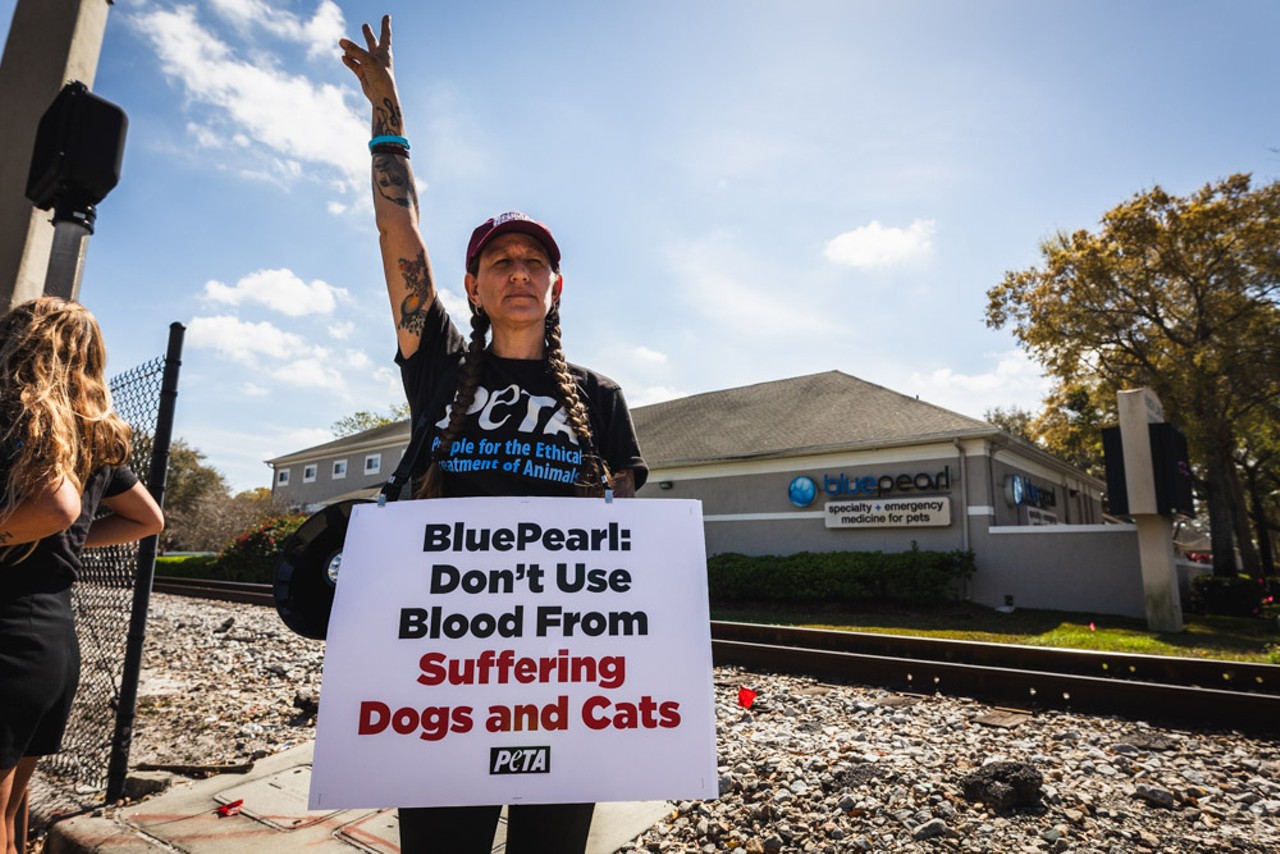 Photos: Peta protests outside Tampa Blue Pearl veterinary clinic over ties to The Veterinarians’ Blood Bank