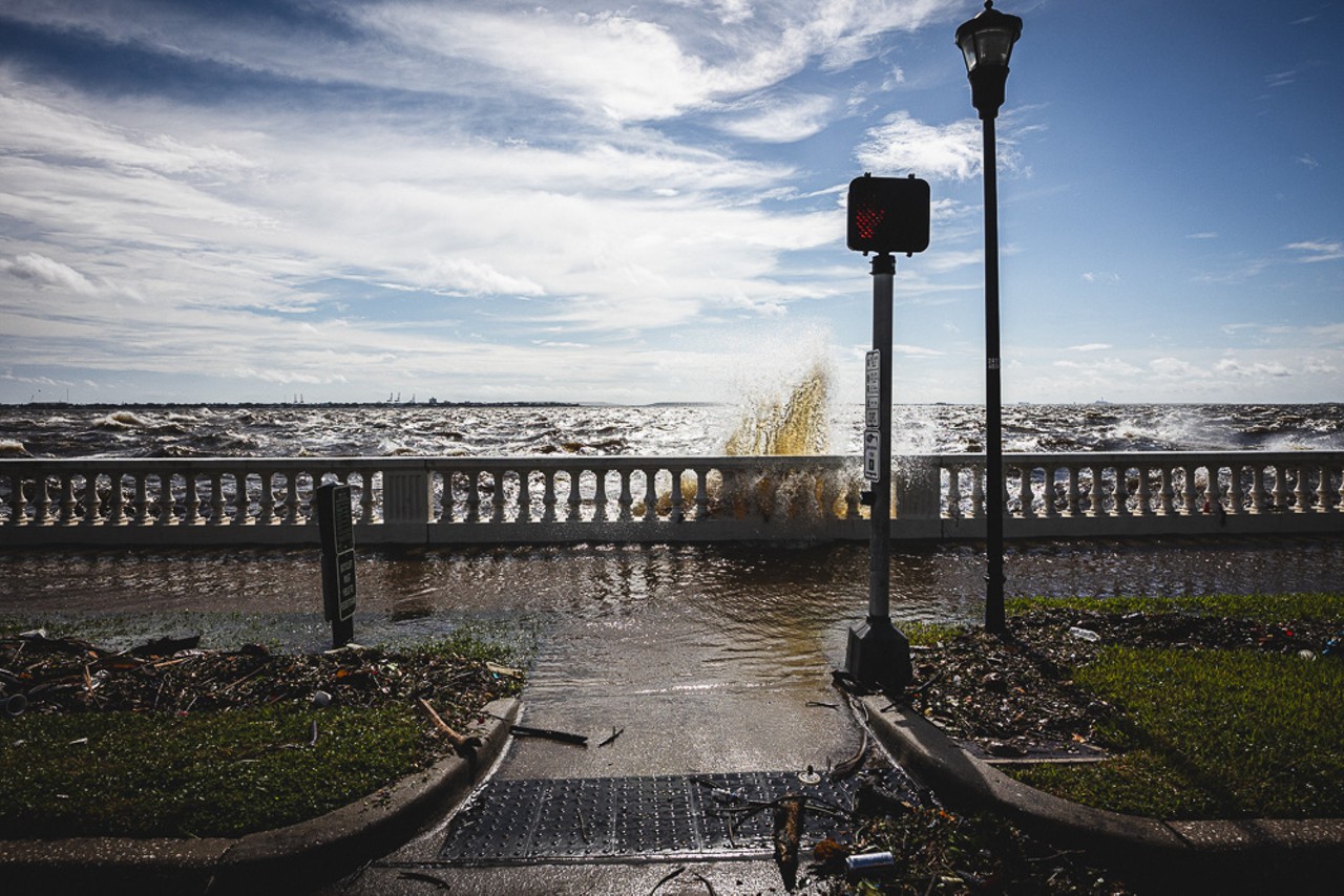 Bayshore Boulevard in Tampa, Florida on Sept. 26, 2024.