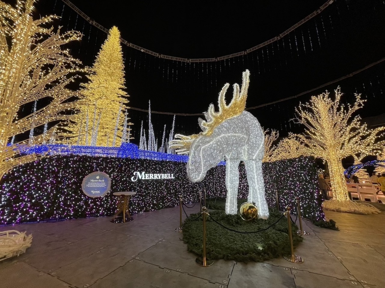 Photos St. Pete's Tropicana Field is the prettiest it’s ever been