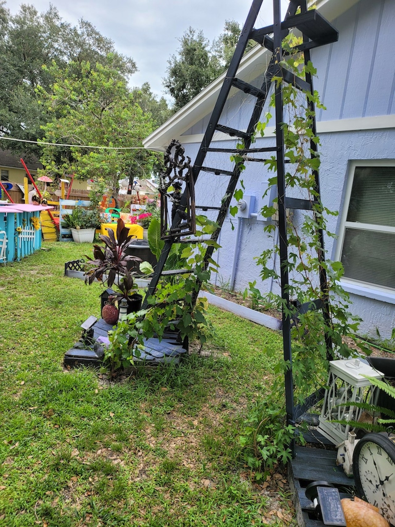 PHOTOS: The 'Edward Scissorhands' House in Lutz is now a free museum