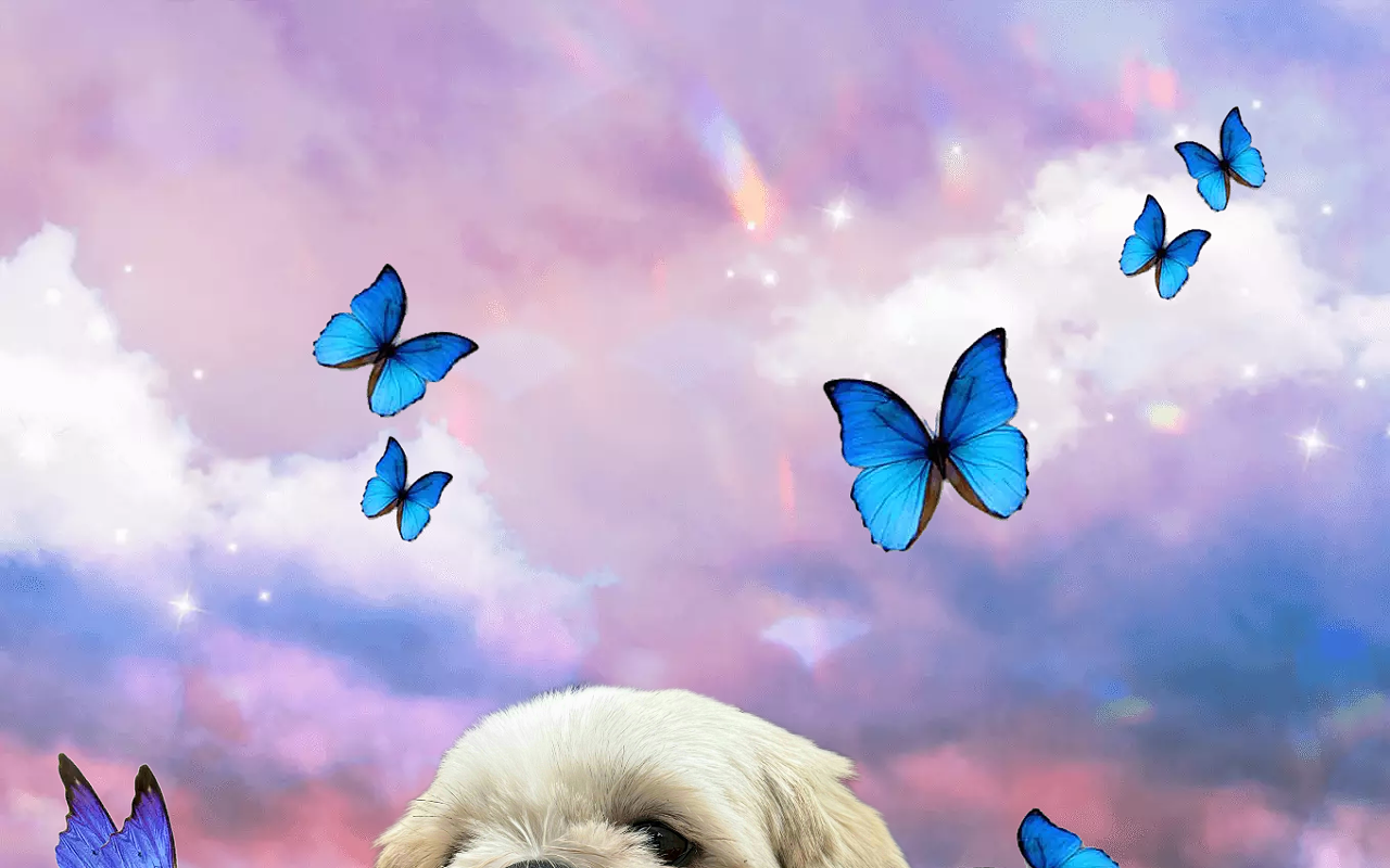 Image: Pinellas Ale Works Fresh Art: Dog Portraits by Mish, September 5-October 24