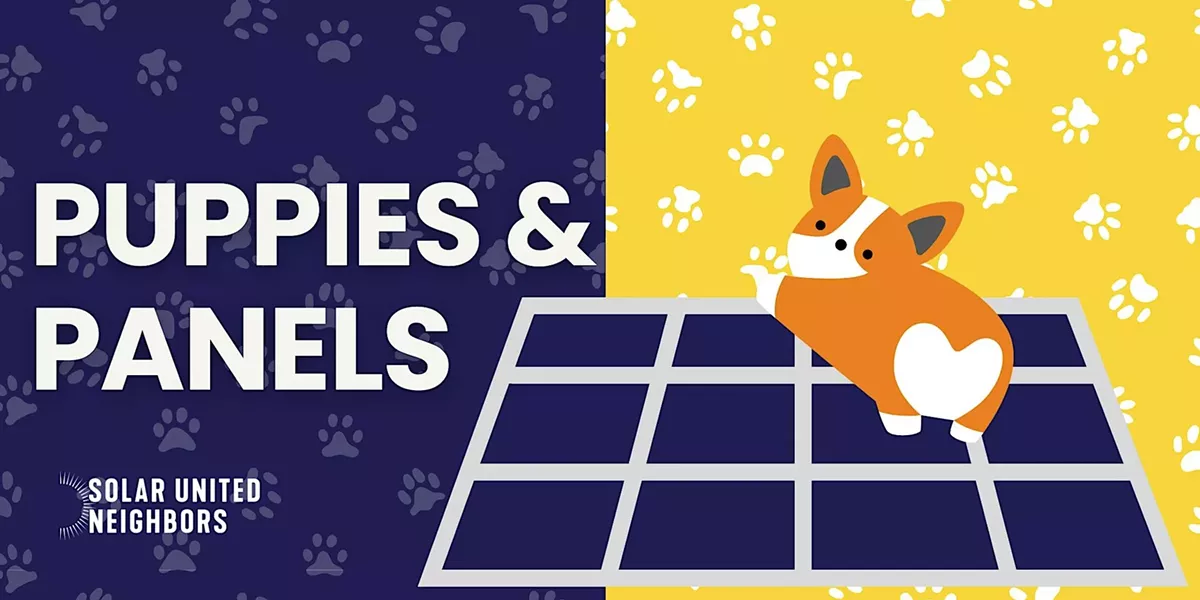 Puppies & Panels
