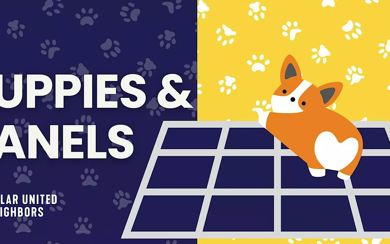 Image: Puppies & Panels