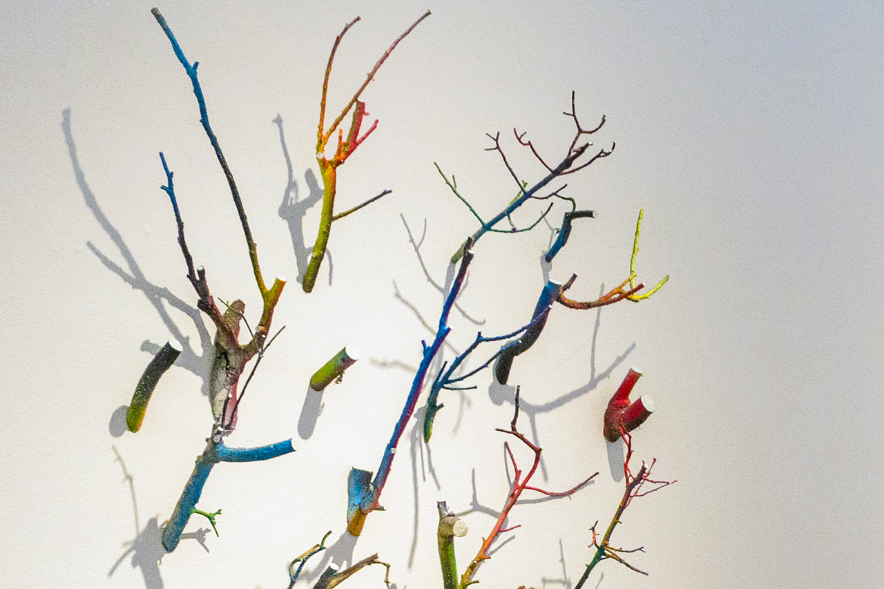 This is just a small portion of a Kenny Jenson mixed-media installation at the Dunedin Fine Art Center. 
Kenny Jenson’s mixed-media installations use branches and roots gathered near Jenson’s home in Gulf Hammock, Florida. These works explore our relationship with nature, one of Jenson’s greatest loves. Jenson paints the branches with bright colors and arranges them in unnatural patterns with floral wire. His work is a fascinating contradiction, where a love of nature intersects with a love of man-made creation. It both intrigues me and forces me to reflect upon my own relationship with nature.