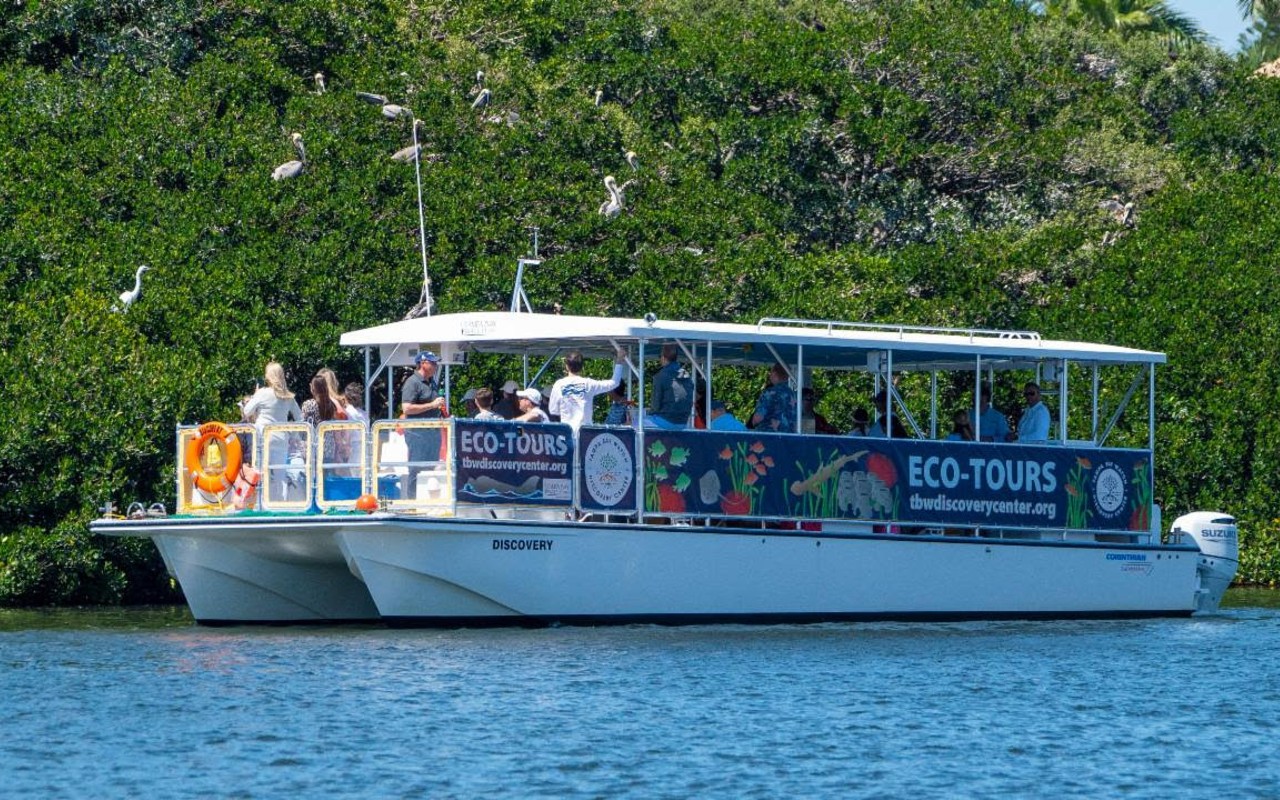 St. Pete boat tour gives history and science nerds a chance to grow sea legs