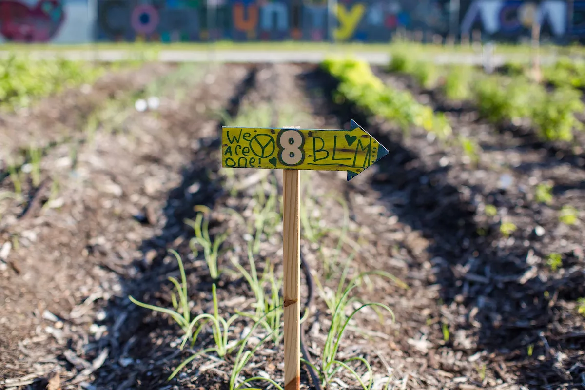 St. Pete Youth Farm