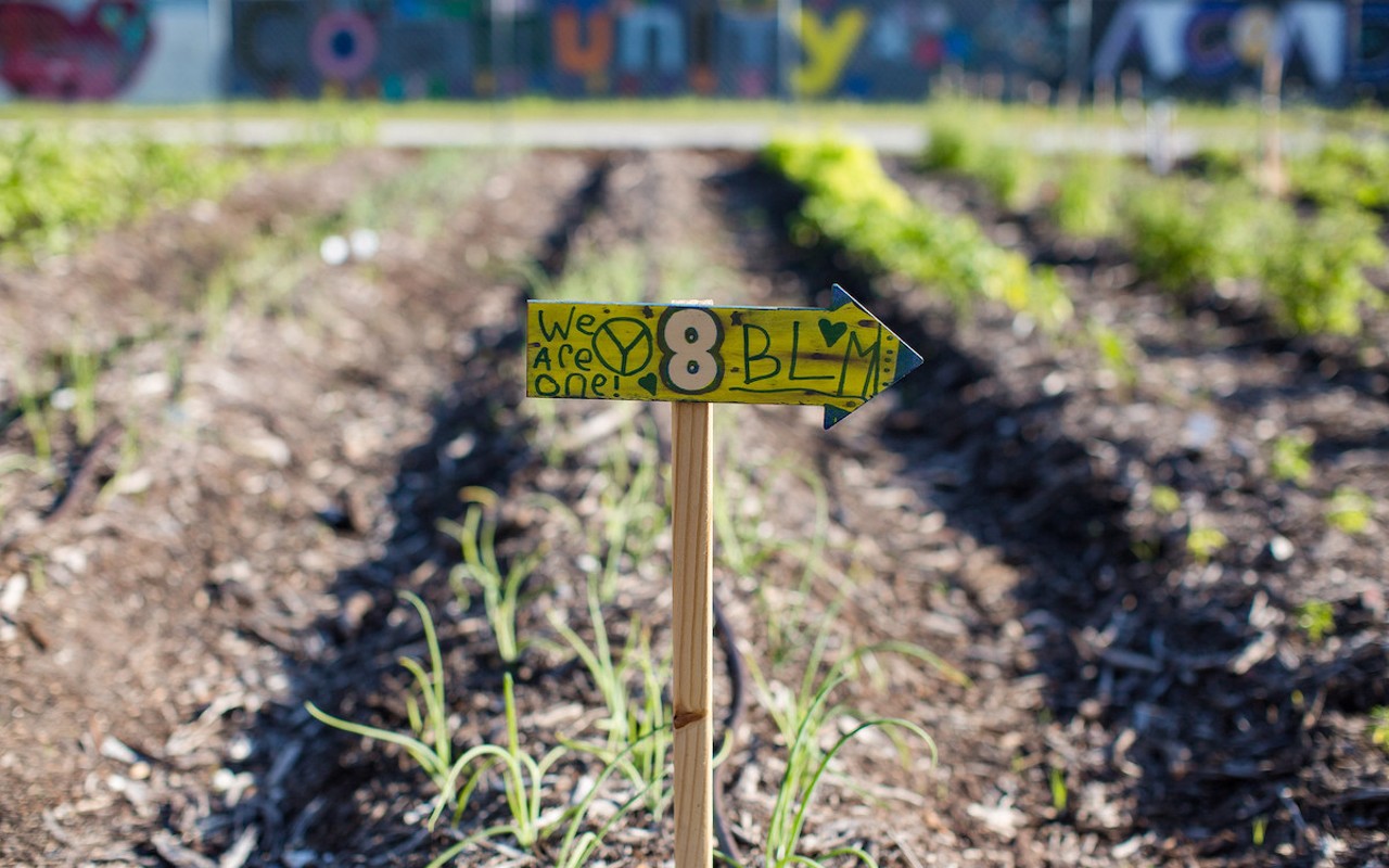 St. Pete Youth Farm