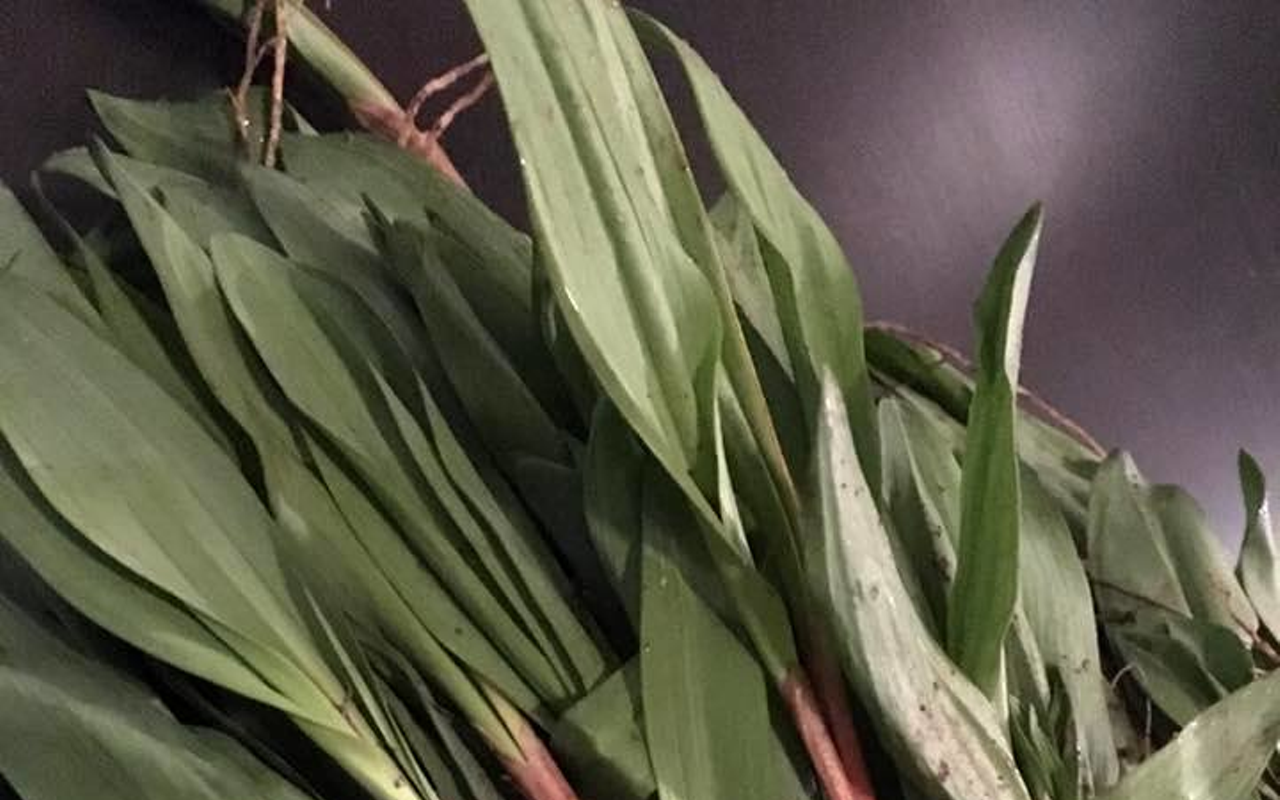 A risotto made with ramps will be included on Il Ritorno and Green Bench's five-course collaboration Sunday.