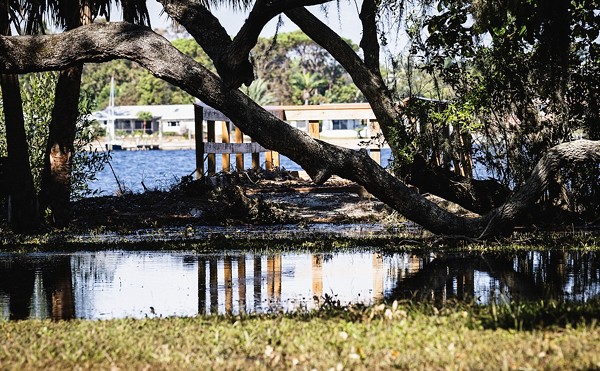 Little Bayou Preserve in St. Petersburg, Florida on Sept. 29, 2024.