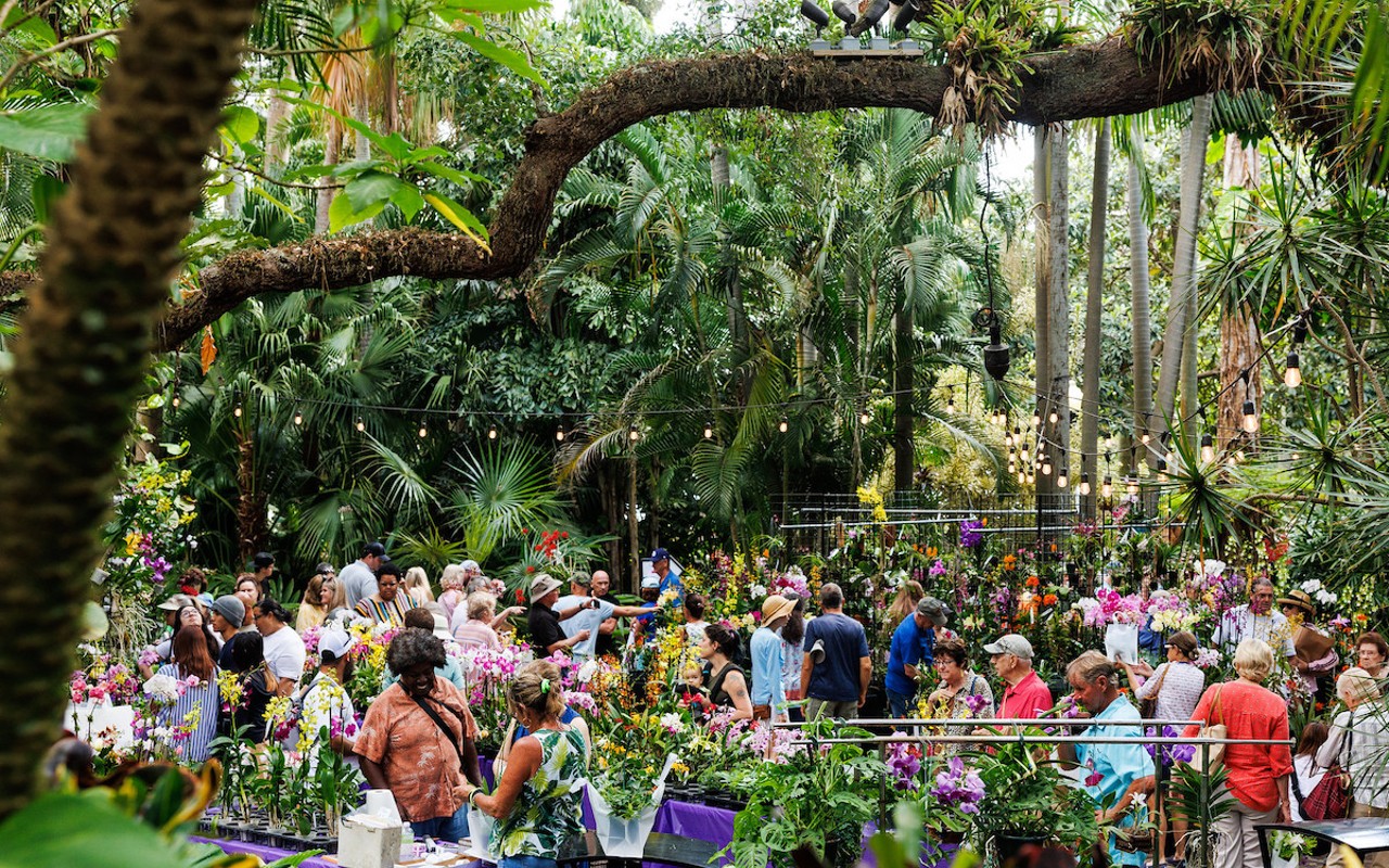 Sunken Gardens Orchid Festival in St. Petersburg, Florida on April 2, 2023.