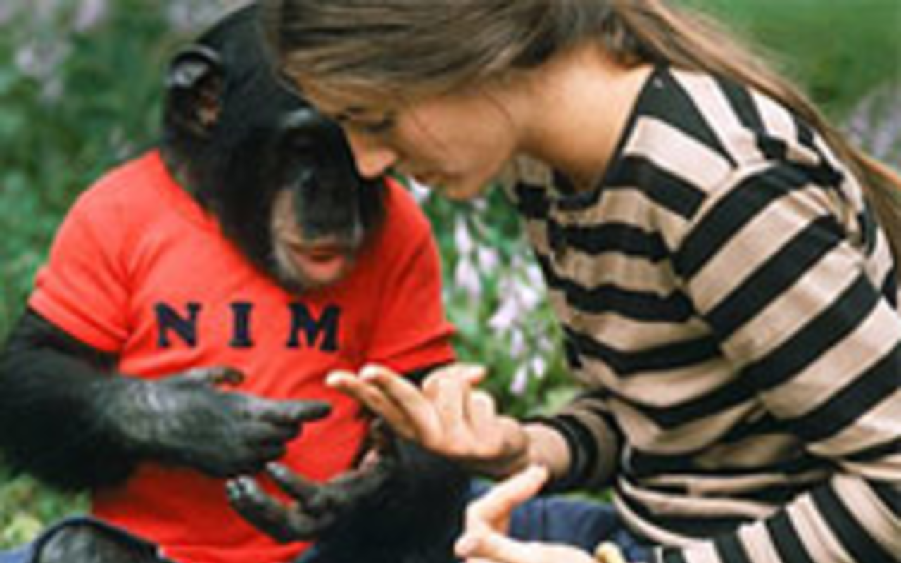 Sundance Film Festival 11 begins: A Pariah and a Chimp