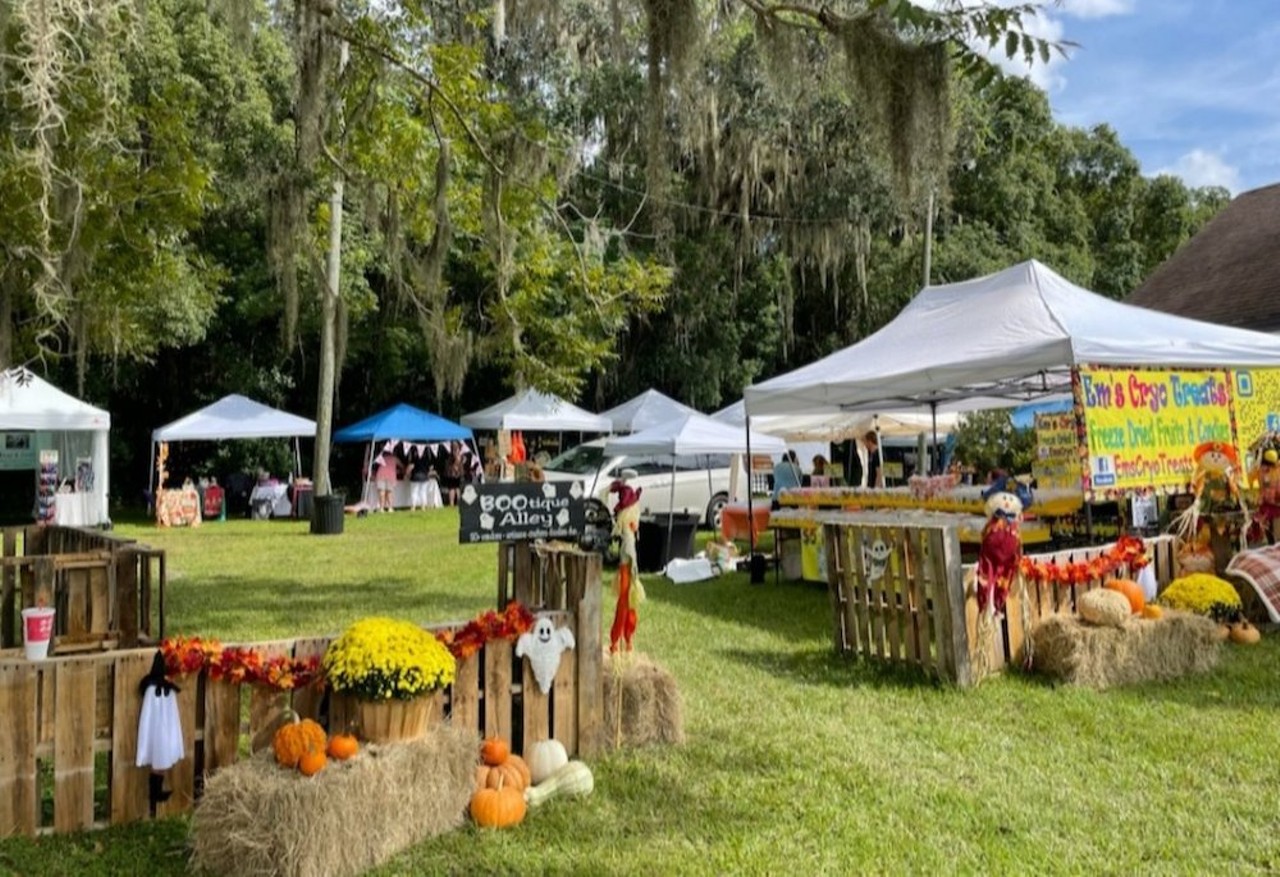 Brooksville Pumpkin Patch
475 North Ave. W, Brooksville
Five weekends starting Sep. 29, Friday 6-9 p.m., Saturday 9 a.m.-4 p.m., Sunday 11 a.m.-4 p.m.
Brooksville Pumpkin Patch returns for its 21st year with free parking and entry, plenty of pumpkins, food trucks and sweets vendors. Trunk or Treat Sun. Oct. 29, 1:30-3 p.m.
Photo via Brooksville Pumpkin Patch/Facebook