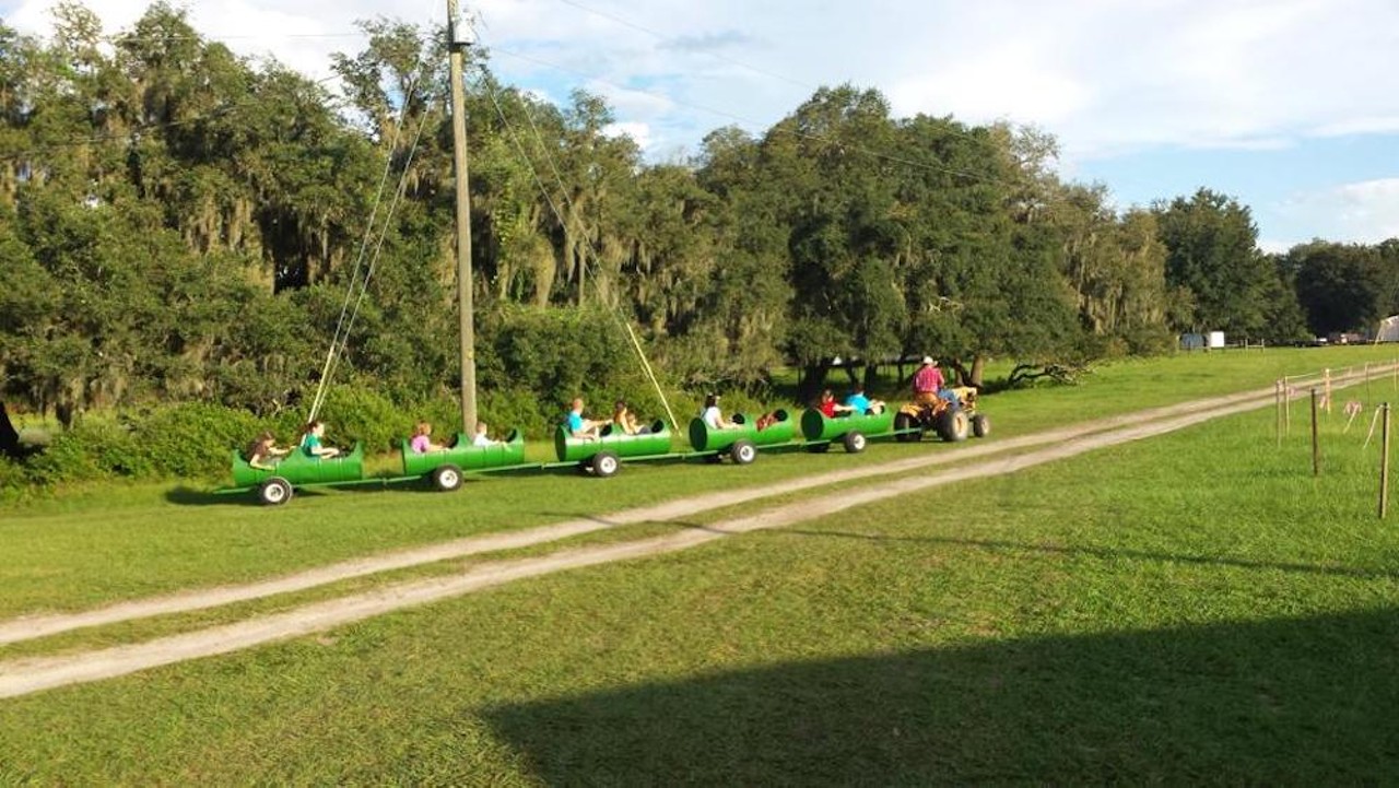 Harvest Holler Corn Maze
950 Tavares Rd., Polk City
Friday, 4-8 p.m.; Saturday, 12-8 p.m.; and Sunday 12-5 p.m. from Sep. 15-Nov. 12.
Adults $15, seniors and kids 2-12 $12, kids under two free
Drop by this family farm in Polk City to disconnect and explore its pumpkin patch and corn maze. Additional activities include miniature golf, hayrides, and corn hole. After you’re done, stop by Maw-Maw’s Country Store for some homemade cobbler or pumpkin pie or sink your teeth into some of the best sweet corn in the area at Paw Paw’s Vittles.
Photo via Harvest Holler Corn Maze/Facebook