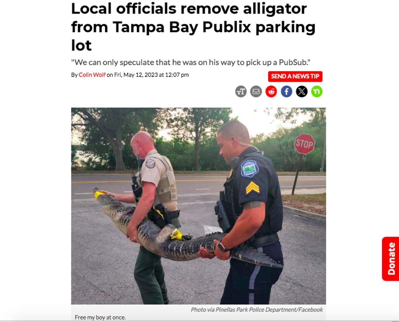 A decent-sized alligator was detained last spring and relocated for trespassing at a Tampa Bay Publix. "We can only speculate that he was on his way to pick up a PubSub," said the police department said in a Facebook post. An officer with the Florida Fish and Wildlife Conservation Commission also responded to the call and helped relocate it to a nearby body of water. Read the full story here.