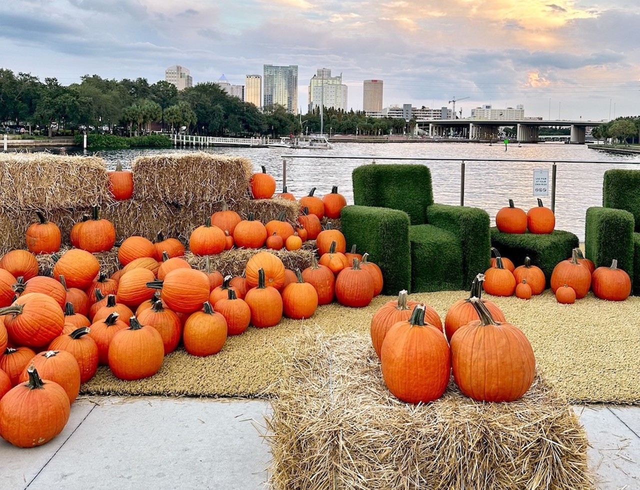 Armature Works Fall Fest
1910 N. Ola Ave., Tampa
Second and Third weekends in October, noon to 5 p.m.
Head to Armature Works in Tampa to experience their riverfront pumpkin patch with live music, festive autumn treats, bounce houses, a petting zoo, and pumpkin spice latte’s.
Photo via Armature Works/Facebook