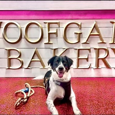 Best Bakery for Your PetWoof Gang Bakery & Grooming - South Tampa, Clearwater, DunedinFinalists: Bark Avenue Dunedin, Three Dog Bakery