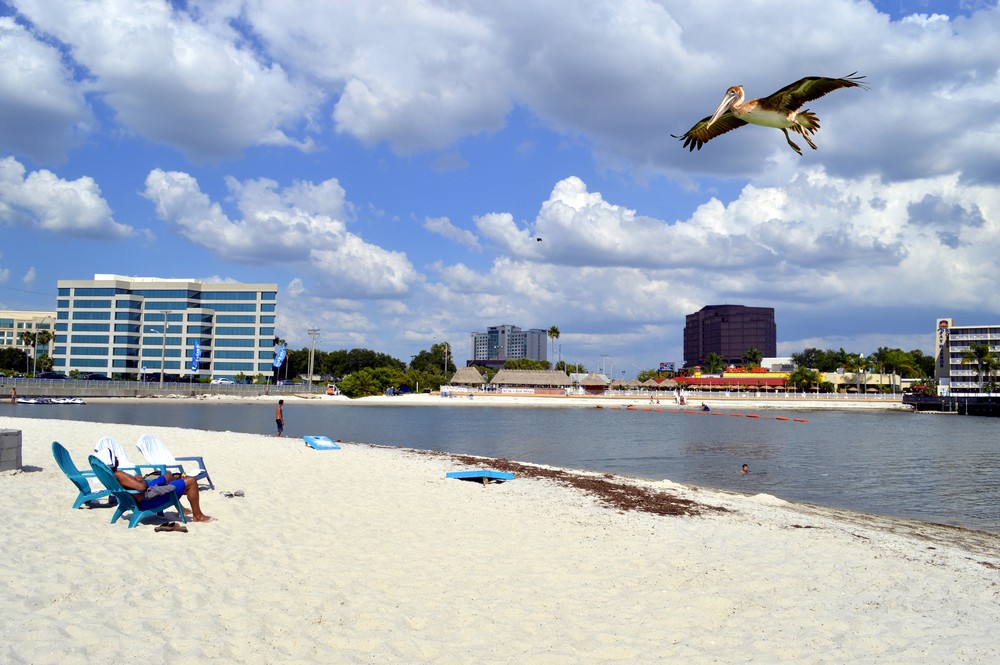 Ben T. Davis Beach in Tampa.