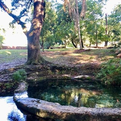 A curving path off Tampa's North River Shore Drive leads back through the woods until suddenly a grassy slope falls away into a small, startlingly blue pool.