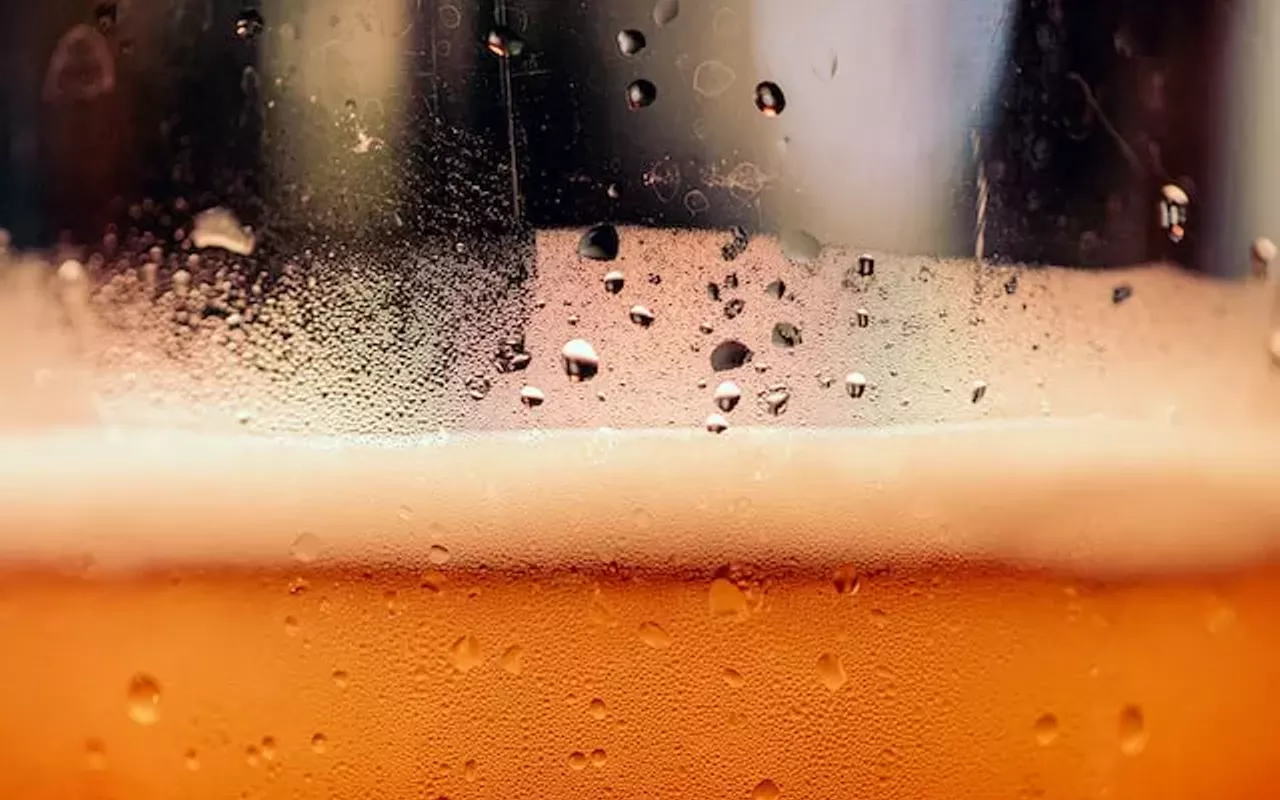 Image: Temple Terrace Craft Brewfest 2023