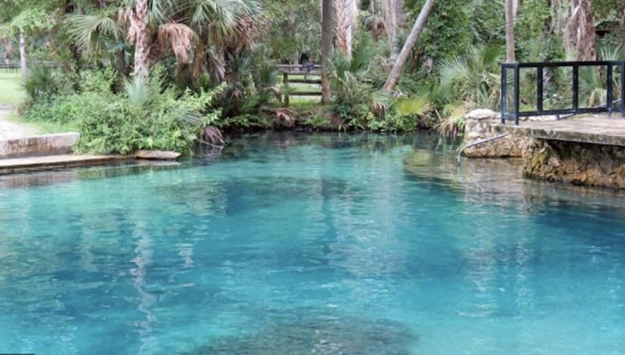 Alexander Springs 
Estimated Drive Time from Tampa: 2 hours and 30 minutes
The clear, 72 degree water of Alexander Springs has made it one of Florida's easiest first-magnitude springs for visitors to enjoy. Amenities include picnic tables, toilets, parking and tent camping. The price of admission is $6 per person and canoe rentals start at $16 for two hours.  
Photo via Visit Florida