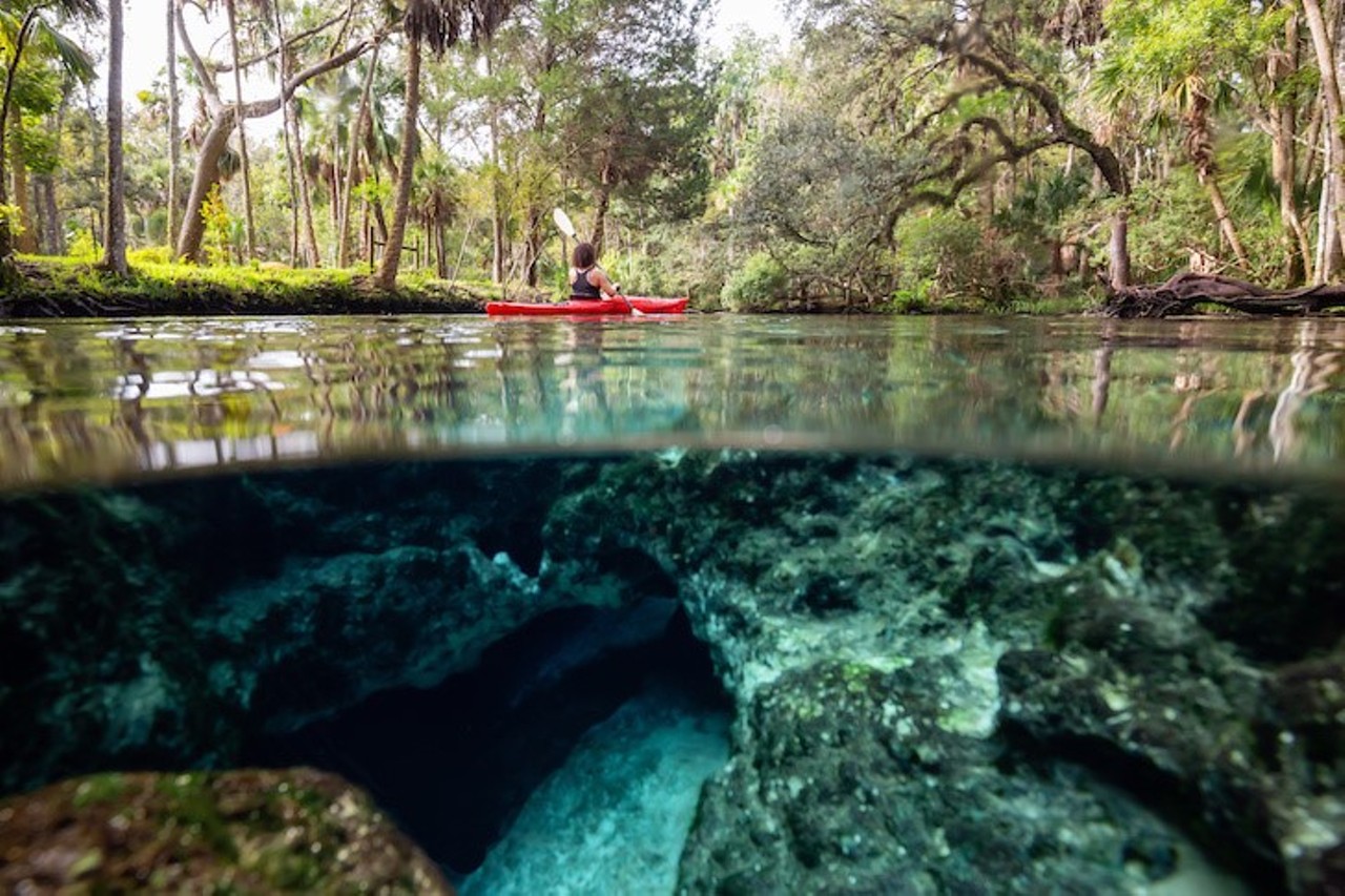 Seven Sisters Spring 
Estimated Drive Time from Tampa: 1 hour
Seven Sisters Spring is located on the Chaz, Chassahowitzka River. For access to the spring, rent a kayak and paddle 5 for five minutes. The spring is certainly worth the journey. Wildlife abound, but the manatees will certainly catch your eye as you take in the springs clear water. Kayak rentals at the local campground start at $25 per day and parking is free. 
Photo via Adobe Images