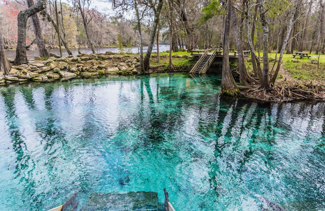 Ginnie Springs 
Estimated Drive Time from Tampa: 2 hours and 20 minutes
Ginnie Springs is a privately owned park in Gilchrist County famous for its breathtaking swimming and snorkeling experience. Practically all water activities are permitted and highly regarded at the spring. If you do not have any of your own tubes, goggles, kayaks or paddle boards they are available for rent. Admission for adults start at $14 per day and the spring is open from 8 a.m. to 7 p.m. Monday through Thursday and from 8 a.m. to 8 p.m. on Friday and Saturday.
Photo via Adobe Images