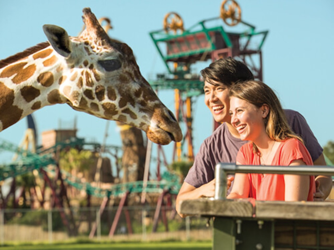 Do a Serengeti Safari Tour at Busch Gardens
10165 McKinley Dr., Tampa, 813-884-4386
Become a “keeper for a day” and besides exploring 65-acres of safari preserve on the back of a truck, you can also learn how the zoo specialists of Busch Gardens care for the animals with behind-the-scenes access. 
Photo via Busch Gardens Tampa website