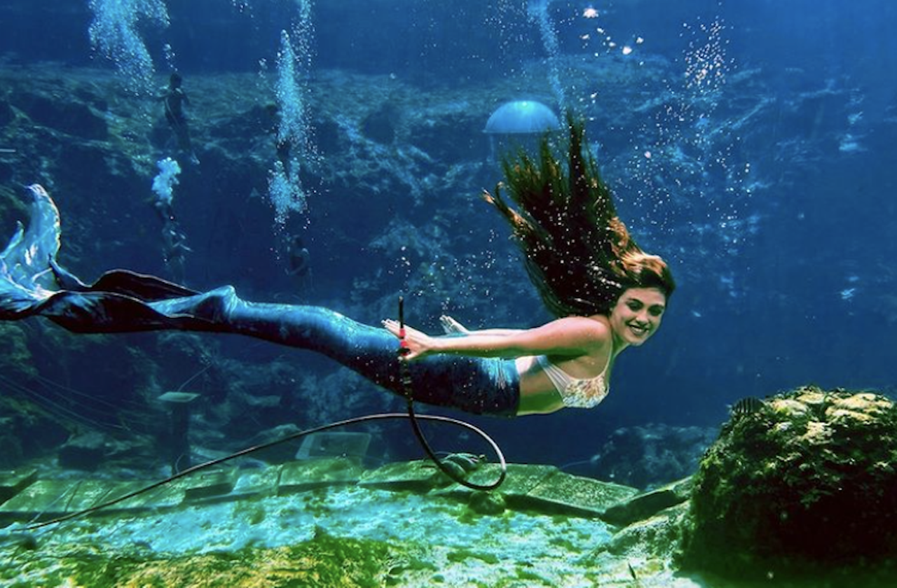 Swim with the mermaids at Weeki Wachee Springs
6131 Commercial Way, Spring Hill, 352-610-5660
The Weeki Wachee mermaids are a one-of-a-kind attraction and a classic Florida tourist destination. Besides the must-see mermaid show, and the water park, be sure to take an on-site boat tour and learn about the history of the springs.  
Photo via Weeki Wachee/Instagram