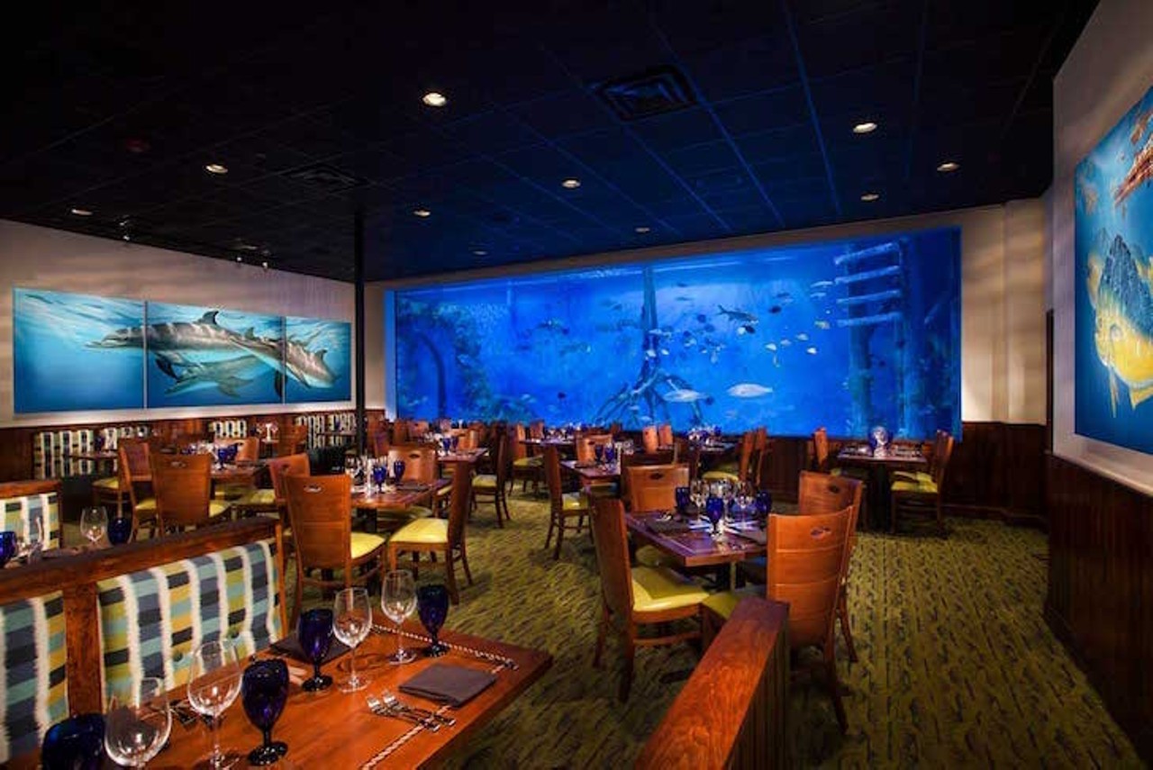 RumFish Grill  
6000 Gulf Blvd., St. Pete Beach, 727-329-1428
Rumfish Grill pays is aquatic themed with an enormous tank filled with fish so lovely it might make you rethink that seafood dinner.
Photo via RumFish Grill/Facebook