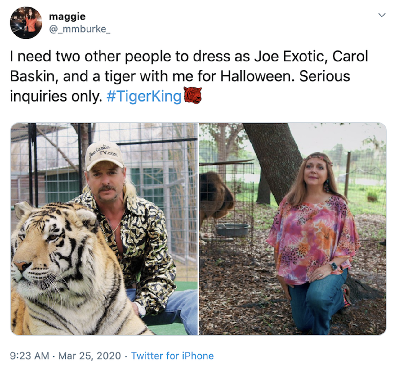 The best reactions to Netflix's 'Tiger King,' which you should be watching right now