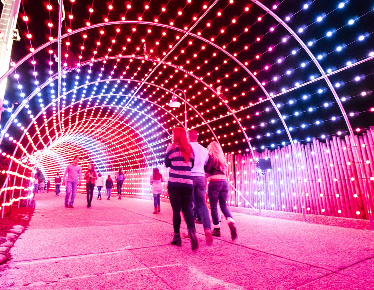 The best ways to see Christmas lights in Tampa Bay this holiday season ...