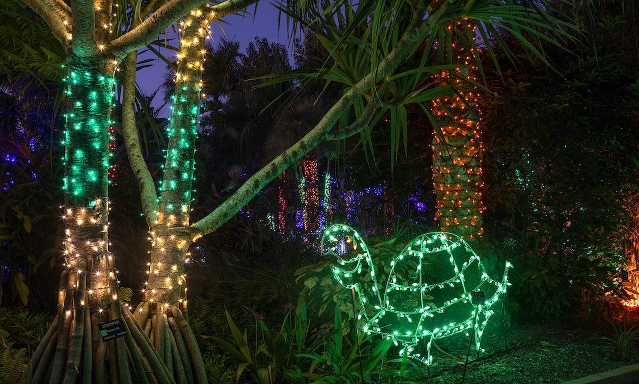  Holiday Lights in The Gardens 
12520 Ulmerton Rd., Largo
Nov. 25-Jan. 1
Florida Botanical Gardens is now on its 23rd annual holiday lights event, featuring one million lights, and laser light shows. Suggested donation for admission is $10, and free for children 13 and under. 
Photo via Florida Botanical Gardens/Facebook