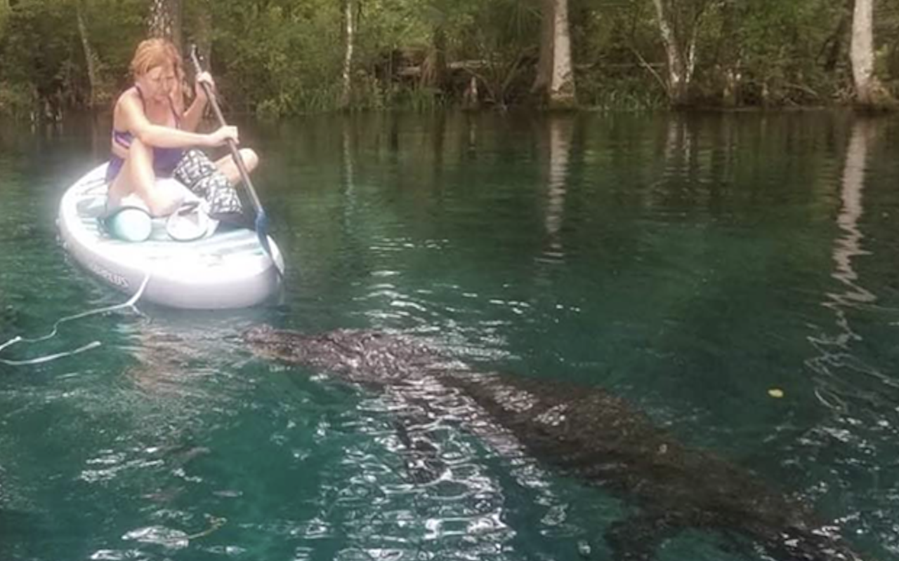 Alligator from viral video involving Central Florida paddleboarder has been killed