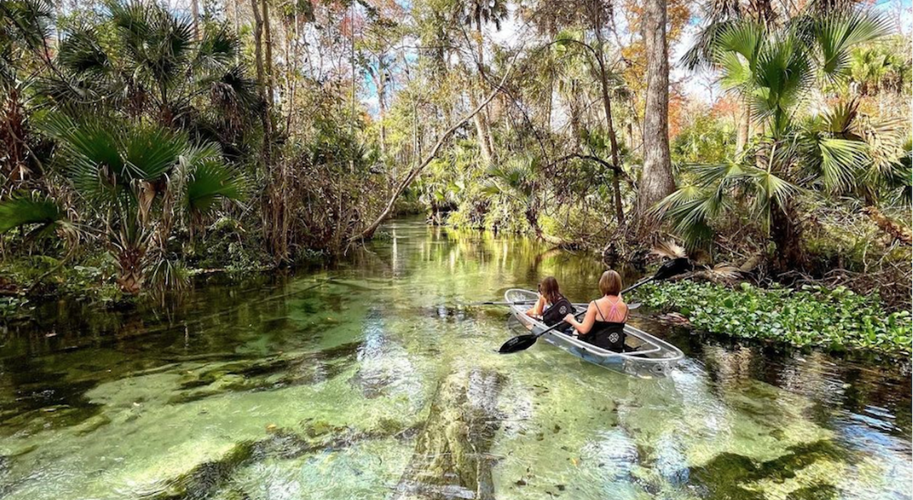 Get Up and Go Kayaking Tour
352-834-1556
Make the most out of the remainder of manatee season at Crystal River with this two-and-a-half hour tour. Hop on the clear bottomed tandem kayaks and paddle through Kings Bay, Hunter Springs and Jurassic Springs. If you’re lucky, you’ll also be able to spot other animals like dolphins, fish, turtles and birds. Bring your own kayak to pay less than their rental prices. 
Photo via Get Up and Go Kayaking Tour/Instagram
