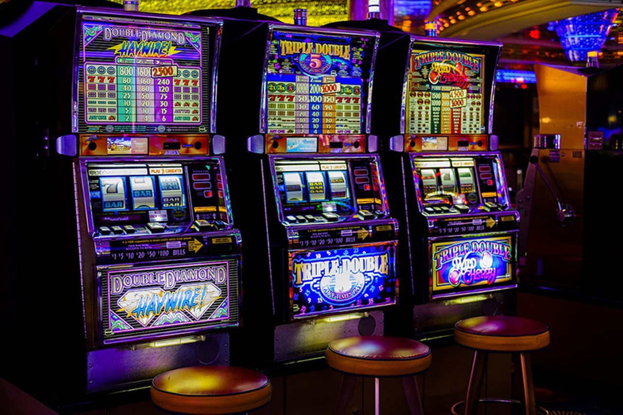 Suncoast Animal League Casino Night in Oldsmar
Saturday, Oct. 20: 6 p.m.
Photo via Pixabay