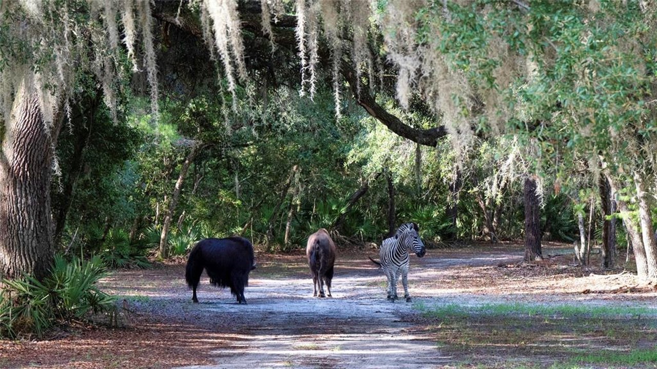 This $8 million Florida ranch is for sale, and it comes with three lakes, 500 deer, and herds of exotic animals