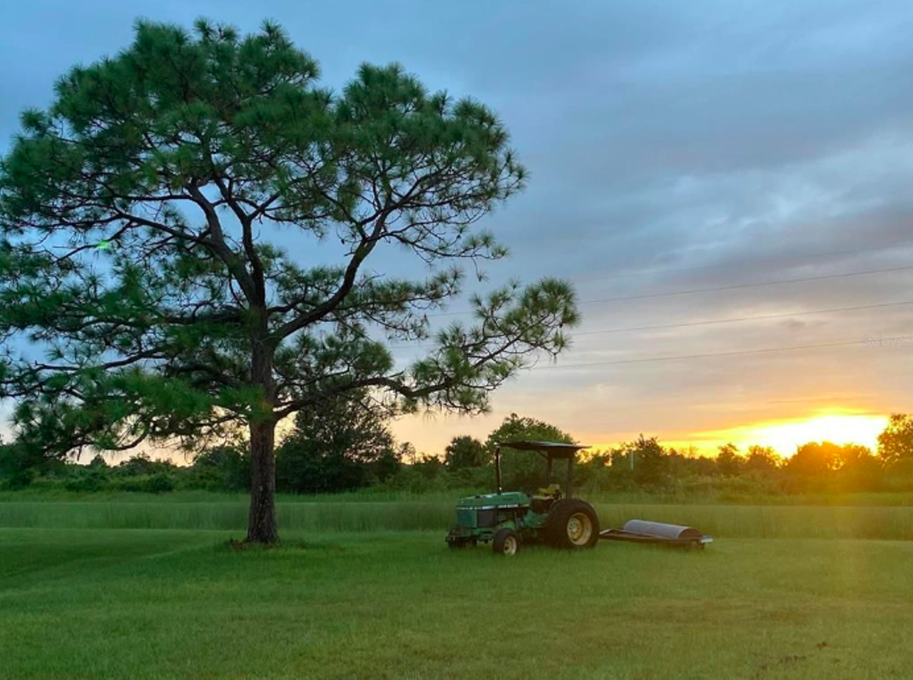 This Florida home for sale comes with its own private airport and a three-story treehouse