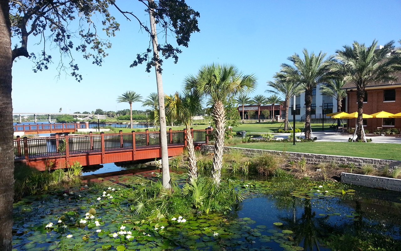 Transforming Tampa Bay: A park is born
