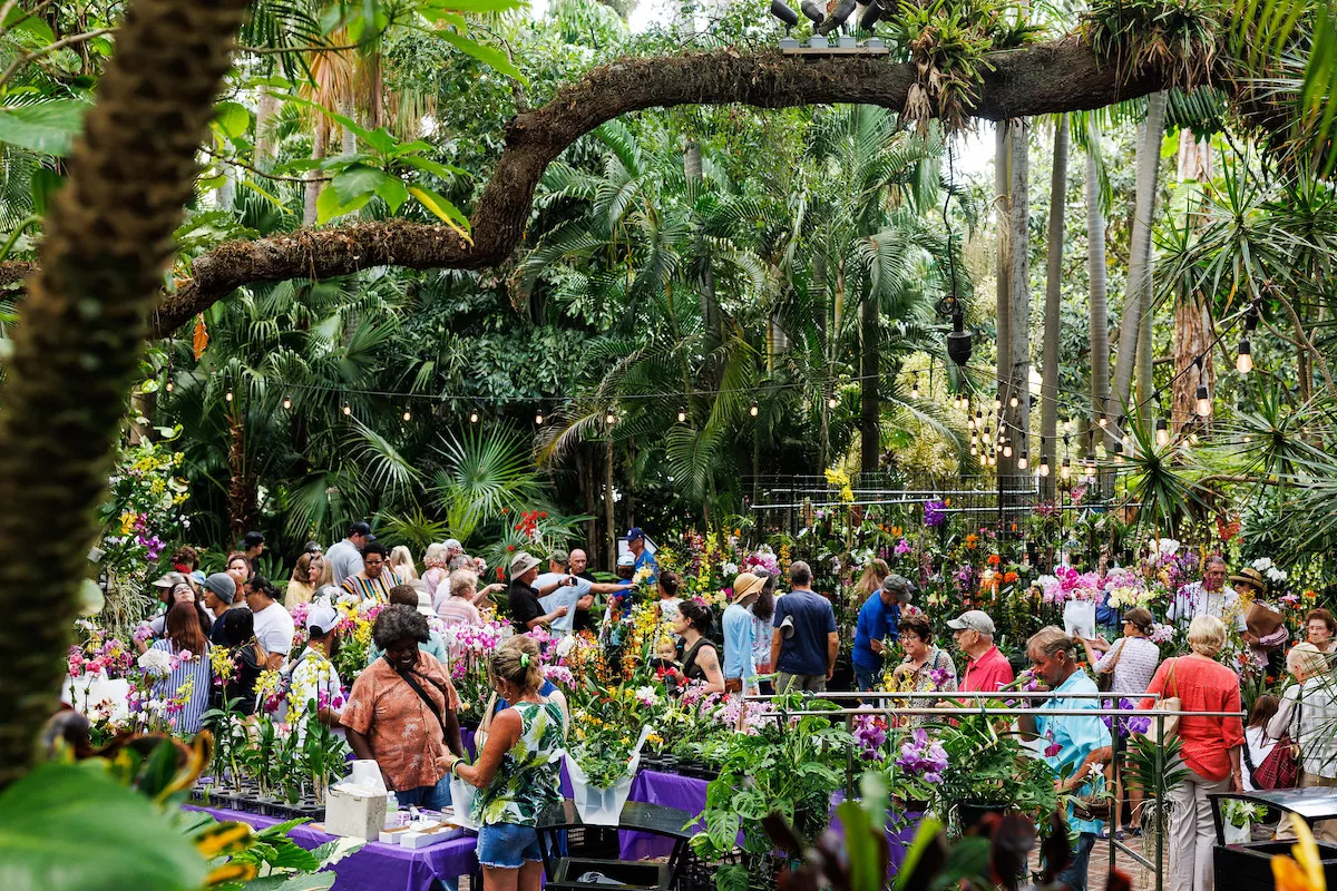 Sunken Gardens Orchid Festival in St. Petersburg, Florida on April 2, 2023.