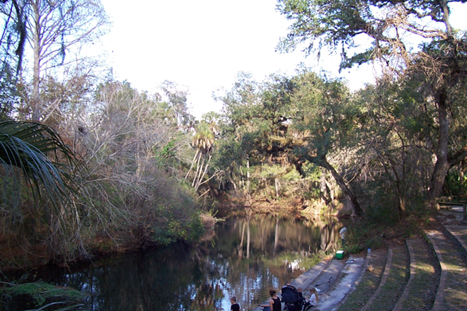A stretch of riverfront in Hillsborough River State Park, where a pro-environmental conservation rally is set to be held. - wknight94/Wikimedia Commons