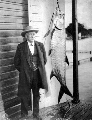 Henry Plant with tarpon - Courtesy of the Henry B. Plant Museum