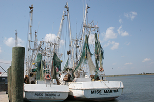 Apalachicola oyster boats - Cathy Salustri