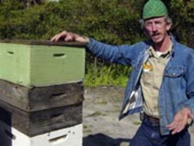 WHAT'S THE BUZZ? Marion Lambert with several - boxes of his honeybees. - Max Linsky